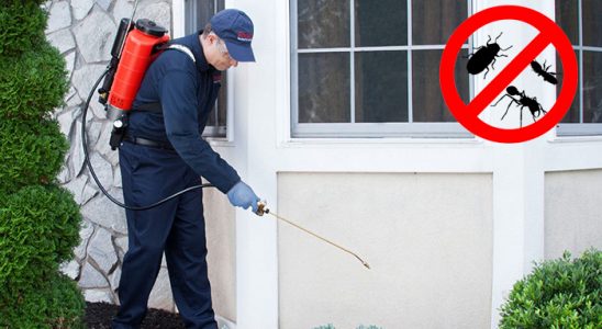 Sultandağı Kemirgen İlaçlama böcek ilaçlama ve haşere kontrolü — ilaclama-tr.com